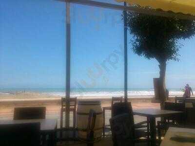 Se Ha Vuelto Loco El Dueño