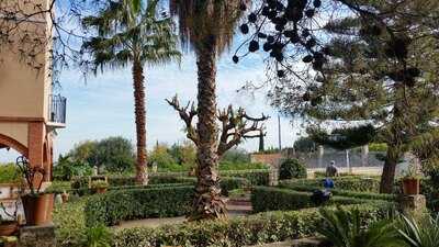 Salón Fillol's Pego