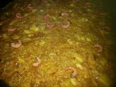 Sajorami Caña Y Tapon