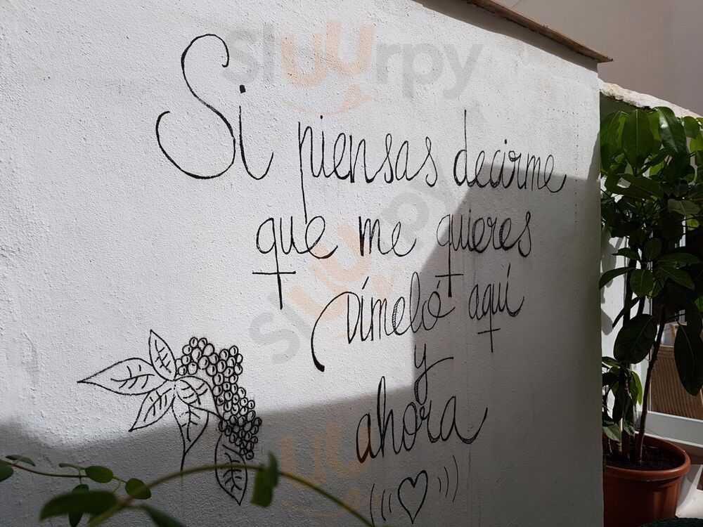 Madre Selva Food & Book Gallery