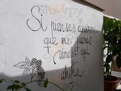 Madre Selva Food & Book Gallery