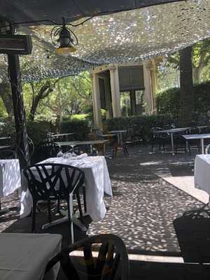 La Jacaranda Del Dos Torres