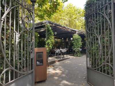 La Jacaranda Del Dos Torres