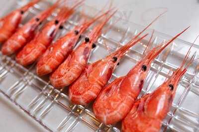 Restaurante Petímetre