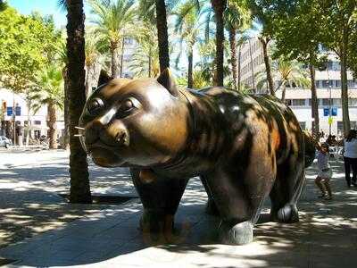 Cafè De Les Delícies