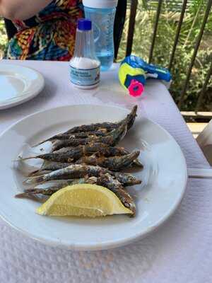 Punta Cala ( Casa Diego )