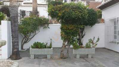 El Oasis Bar & Restaurant