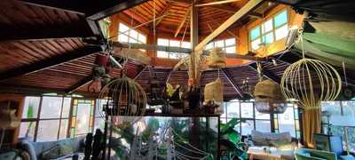 Queen Mississippi Restaurant