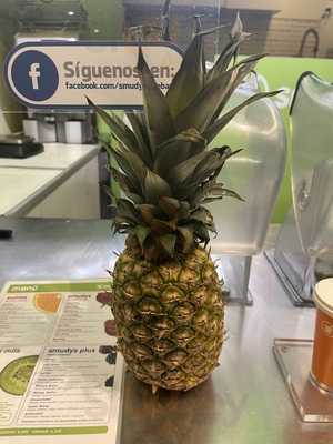 Smudy Juice Bar Diagonal Mar