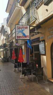 El Calamar De Benidorm