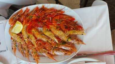 El Rey De La Gamba 1