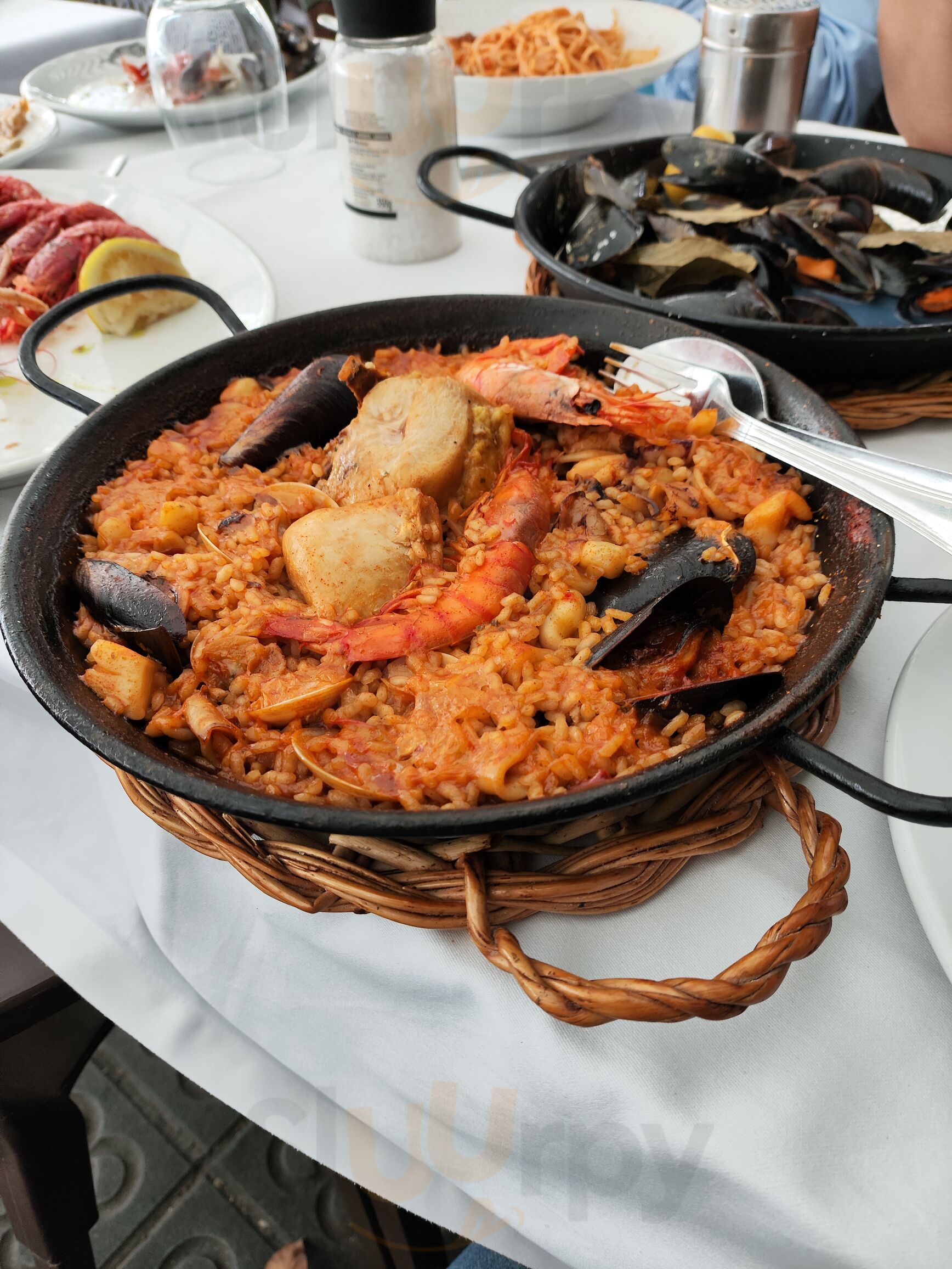 El Rey De La Gamba 1