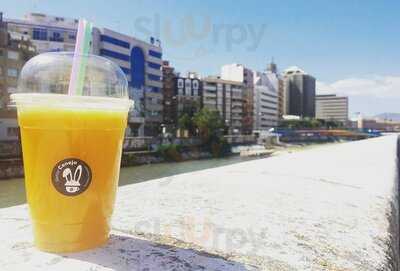 Señor Conejo - Photo 8