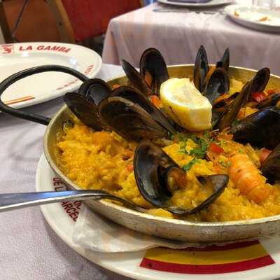 El Rey De La Gamba 2