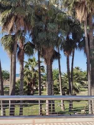 Restaurante Rio Miño Panda