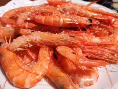 La Pubilla Del Taulat