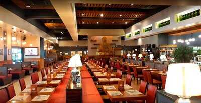 Colonial Buffet Alicante