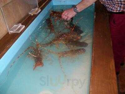 Restaurante Asador El Popeye