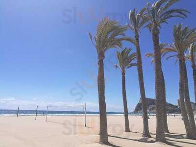 Crokodile Italian Food&drinks