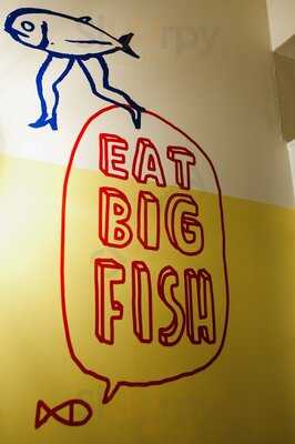 Frivo Fresh Friendly Fish