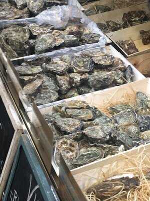 Mediodía, Champagne & Ostras