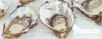 Mediodía, Champagne & Ostras