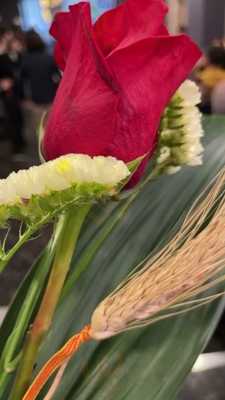 Toyo Restaurant Japones