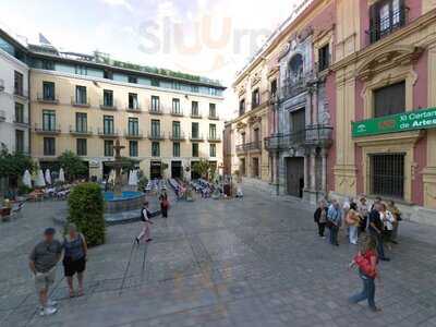 Cantarrana Malaga Sl.