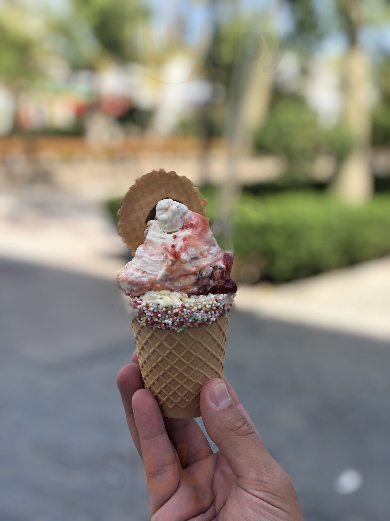 Giolatto - Torre Del Mar