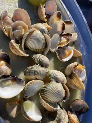 Bar-cantina La Lonja