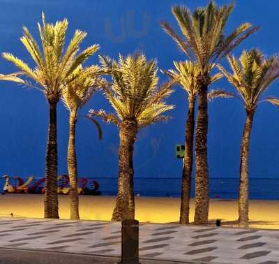 Cafeteria Restaurante Arenas