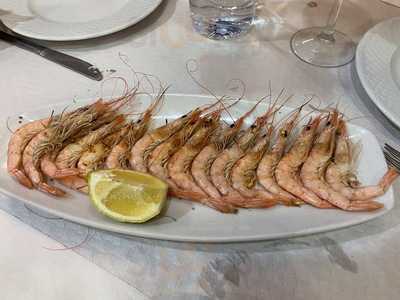 Gamba Cristal