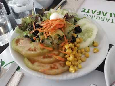 Vegetariano El Tesoro Del Puchero