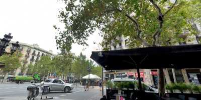 Sense Nom Cerveseria-cafeteria