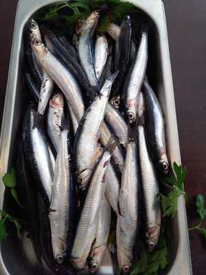 Garleen Vinos Y Tapas