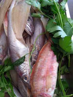 Garleen Vinos Y Tapas