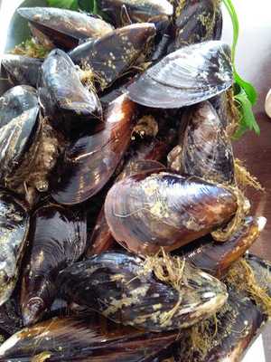 Garleen Vinos Y Tapas