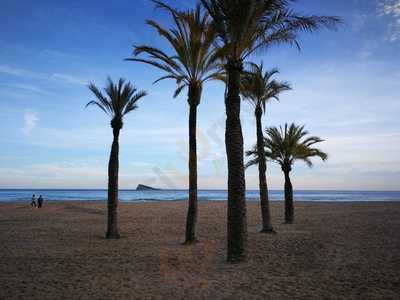 Nevada Beach Cafeteria