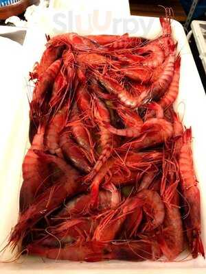 El Rincón Del Pollo