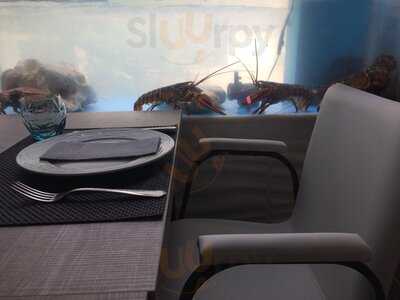 El Jardin De Galicia