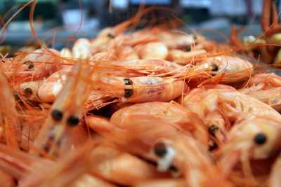 El Jardin De Galicia