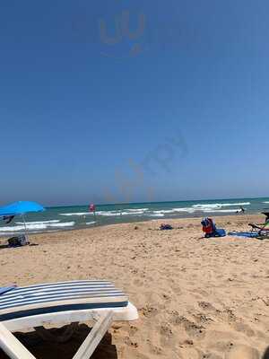 The Blue Rose Terrace