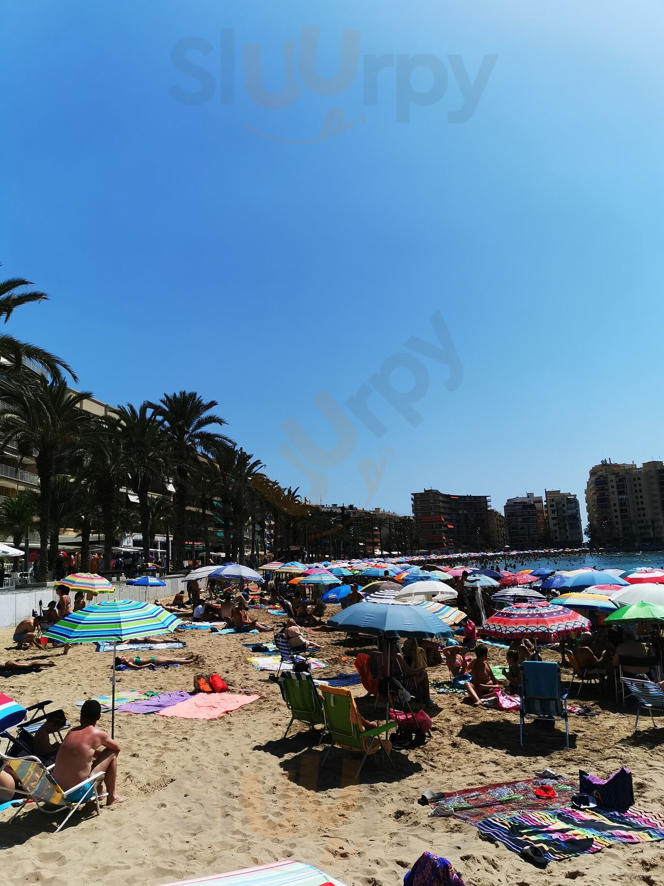 Ciao Authentic Italian