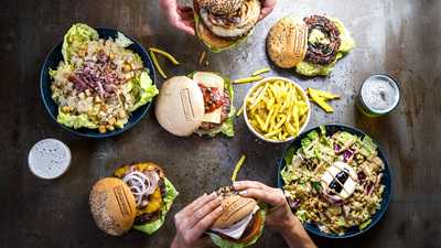 Timesburg Gold Casanova