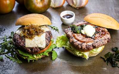 Timesburg Gold Casanova