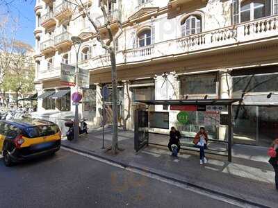 Timesburg Gold Casanova