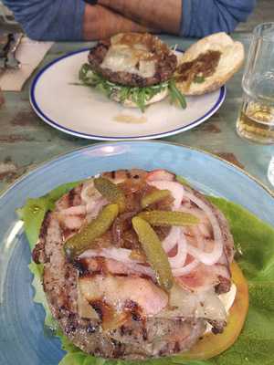 Timesburg Gold Casanova