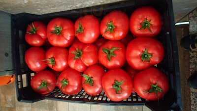 TaperÍa Los GranaÍnos