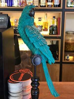 El Celler De Can Romà