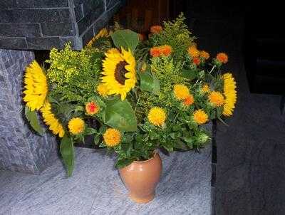 Restaurante Enfu Wok Buffet Libre